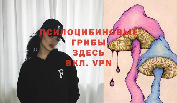 хмурый Абаза