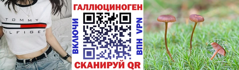 мега рабочий сайт  сайты даркнета какой сайт  Галлюциногенные грибы ЛСД  Истра 